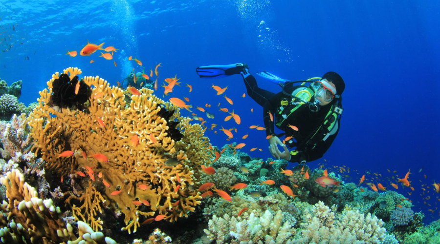Scuba Diving in Andaman Islands